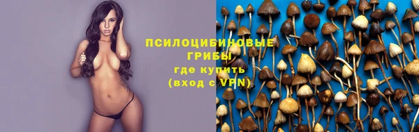спайс Бородино