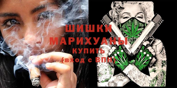 спайс Бородино