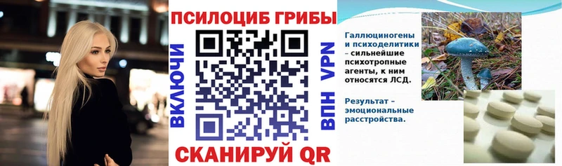 Псилоцибиновые грибы мицелий  Купить  Байкальск 